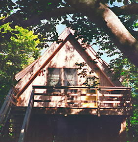 Provincetown Studio Rental